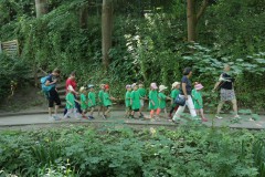IMG_6436