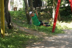IMG_6653