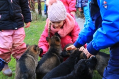 IMG_9814
