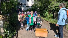 IMG-20250613-WA0003