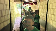 IMG-20250613-WA0050