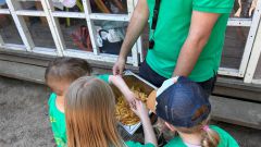 IMG-20250613-WA0057