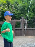 IMG-20250613-WA0066