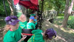IMG-20250613-WA0083