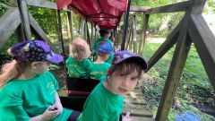 IMG-20250613-WA0084