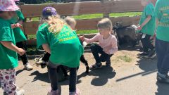 IMG-20250613-WA0087