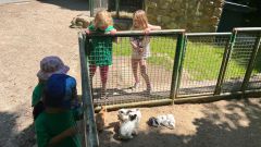 IMG-20250613-WA0091