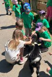 IMG-20250613-WA0102