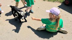IMG-20250613-WA0103