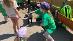 IMG-20250613-WA0104