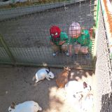 IMG-20250613-WA0194