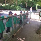 IMG-20250613-WA0195