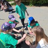 IMG-20250613-WA0200