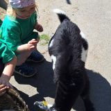 IMG-20250613-WA0201