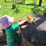 IMG-20250613-WA0205