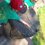 IMG-20250613-WA0206