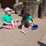 IMG-20250613-WA0208