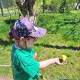 IMG-20250613-WA0210