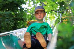 IMG_3875