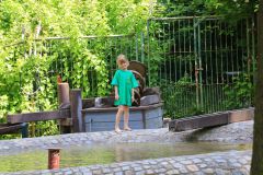 IMG_3909