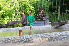 IMG_3910