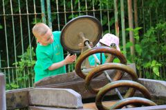 IMG_3925
