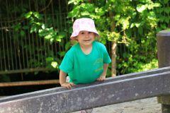 IMG_3928