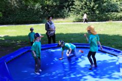 IMG_3986