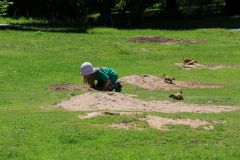 IMG_4001