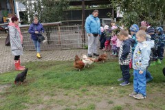 IMG_4170