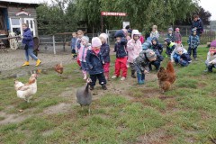 IMG_4174