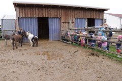 IMG_4202
