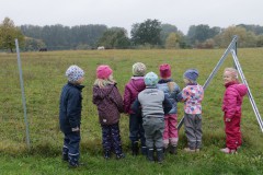 IMG_4458