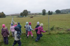 IMG_4466