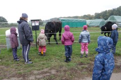 IMG_4470