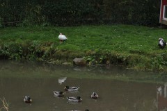 IMG_4475