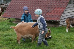 IMG_4521