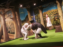 WhatsApp-Image-2025-12-17-at-13.17.36-1