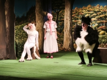 WhatsApp-Image-2025-12-17-at-13.17.37