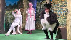 WhatsApp-Image-2025-12-18-at-13.54.21-2