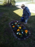 Blumen-Pflanzen1