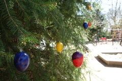 Eier1