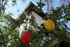 Eier2