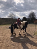 Reiten1