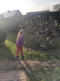 Strauch-Eier1